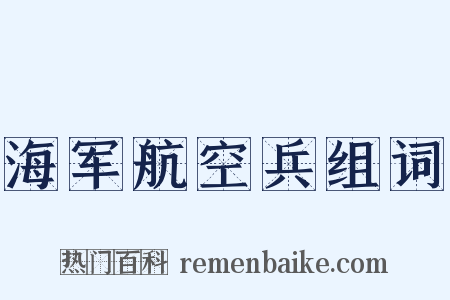 海军航空兵组词是什么意思的图片